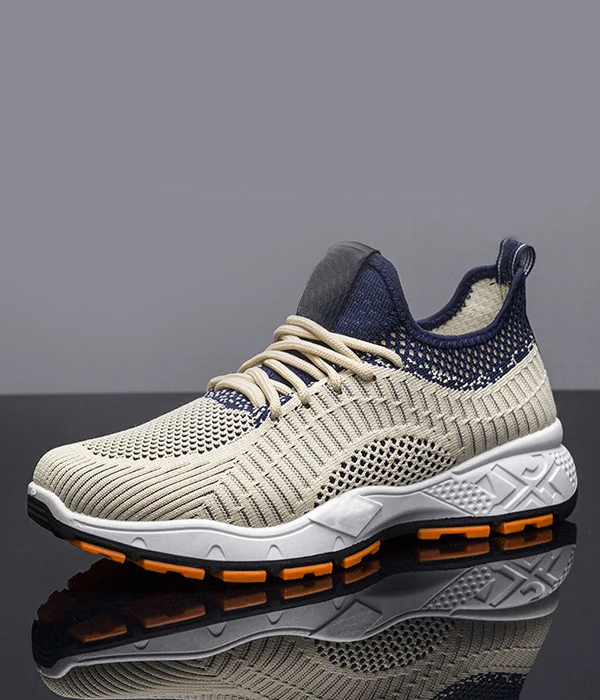 shoe2
